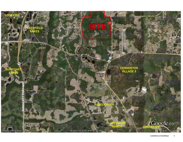north of S.R. 52, Spring Hill, FL 34610