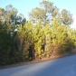 Bellhammon Forest Dr., Rocky Point, NC 28457 ID:457290