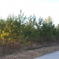 Bellhammon Forest Dr., Rocky Point, NC 28457 ID:457293
