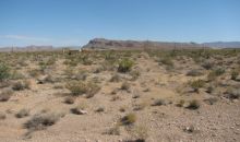 Fort Apache & Gomer Las Vegas, NV 89178