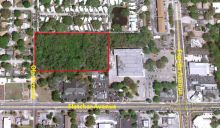 Ola (just north of Flecher Ave) Tampa, FL 33612