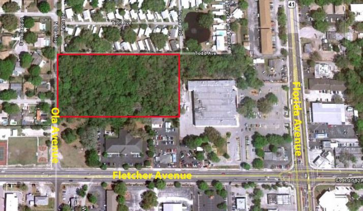 Ola (just north of Flecher Ave), Tampa, FL 33612