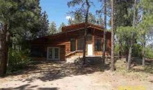 48 Pine Valley Dr Bayfield, CO 81122