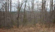 Lot 303 Baypoint Drive Dr Mountain Home, AR 72653