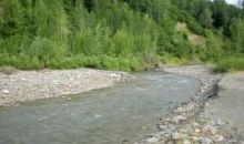 L 60 Cash Creek Recreational Trapper Creek, AK 99683