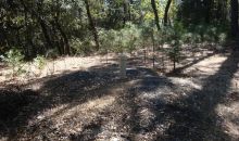 13627 Call of the Wild Grass Valley, CA 95945