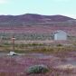 6405 S HWY 95A, Silver Springs, NV 89429 ID:1030229