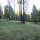 14651 You Bet Road, Grass Valley, CA 95945 ID:1137364