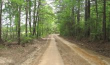 Red Cut Hill Tract 2 Leesville, LA 71446
