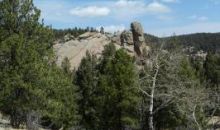 102 Dome Rock Trail Florissant, CO 80816