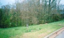 Lot 10 & 11 Bruin Court Ct Mountain Home, AR 72653
