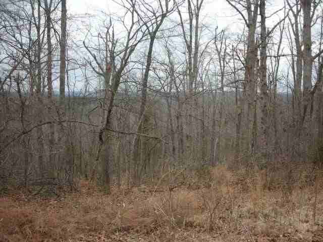 Lot 303 Baypoint Drive Dr, Mountain Home, AR 72653