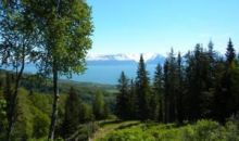 5760 Scenic Place Homer, AK 99603