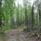 24482 Lucky Shot Trail, Willow, AK 99688 ID:8651489