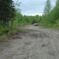 24482 Lucky Shot Trail, Willow, AK 99688 ID:8651490