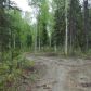 24482 Lucky Shot Trail, Willow, AK 99688 ID:8651493