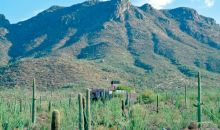 7101 W Sweetwater Drive Tucson, AZ 85745