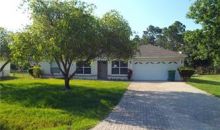246 Great Yarmouth Ct Kissimmee, FL 34758