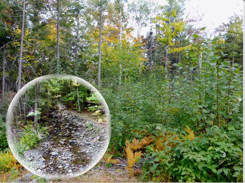 Lot 1 Page Rd, Lowell, VT 05847