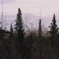 L1 B1 Burning Bush Drive, Anchorage, AK 99507 ID:13215080