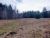 Lot 2 Gendron Rd North Troy, VT 05859