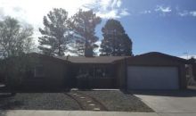 1228 Akers St Las Cruces, NM 88005