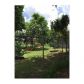 6800 NW 13th St, Fort Lauderdale, FL 33313 ID:14731921