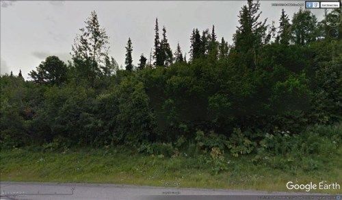 L11 B7 Rabbit Hill Drive, Anchorage, AK 99516