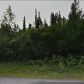L11 B7 Rabbit Hill Drive, Anchorage, AK 99516 ID:14949582