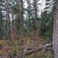 L28 B3 Main Tree, Anchorage, AK 99507 ID:15035448
