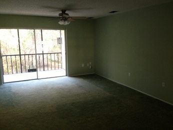 120 Palmetto Ct Unit 20, Oldsmar, FL 34677