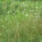 0 W Stilson Rd, Peck, MI 48466 ID:118247