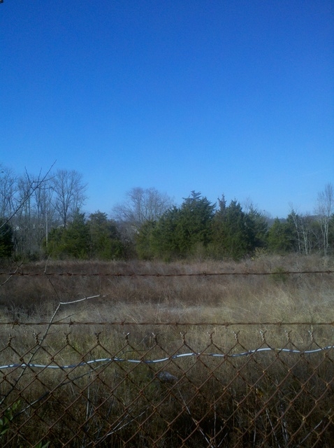 800 Guyler St, Ringgold, GA 30736