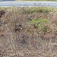 6674 Lee Hwy, Chattanooga, TN 37421 ID:153872