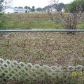 3835 Avanti Circle, North Port, FL 34287 ID:30677