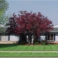 4277 Okemos Rd, Okemos, MI 48864 ID:34341