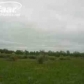 9136 W. Grand Blanc Rd., Gaines, MI 48436 ID:210879