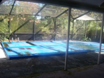 2680 Firestone Dr, Clearwater, FL 33761