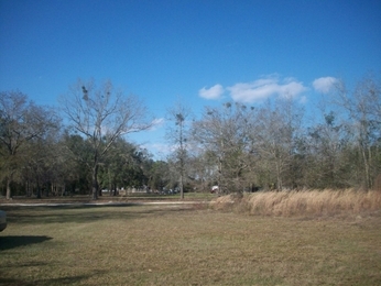 4830 SE 92nd Street, Hampton, FL 32044