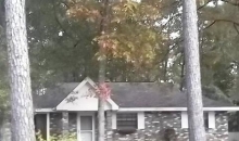 2433 Rue Weller Mandeville, LA 70448