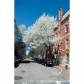 Greenwich Park #4, Boston, MA 02118 ID:232221