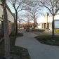 1401-1501 W. Dundee, Buffalo Grove, IL 60089 ID:101508