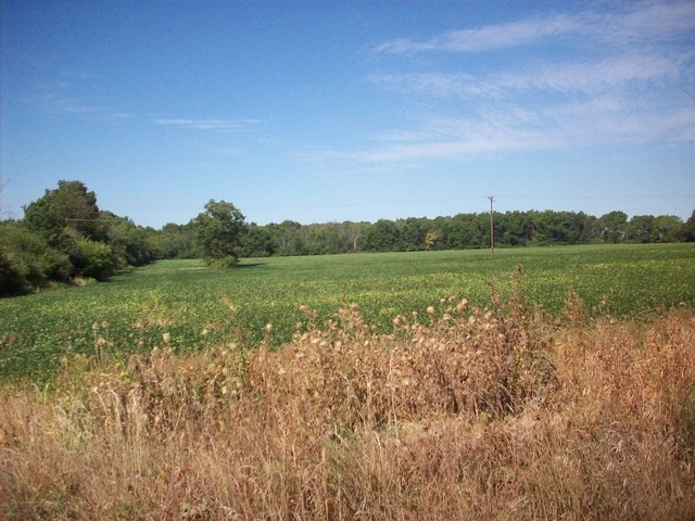 Geddes Road, Ypsilanti, MI 48198