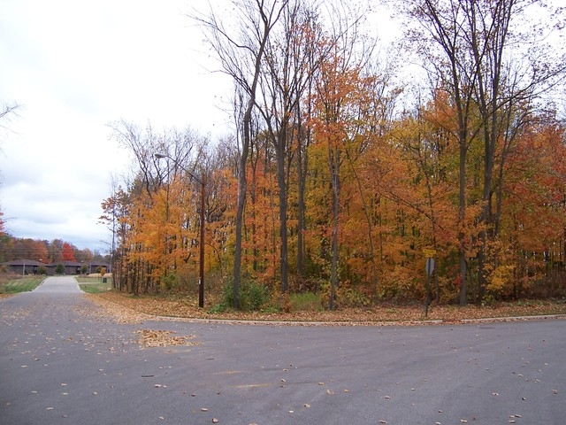 Mueller Dr. and Jefferson St., Bonduel, WI 54107