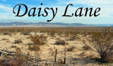 67015 Daisy Ln Joshua Tree, CA 92252