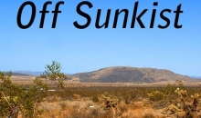 Sunkist  Rd. Joshua Tree, CA 92252