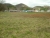156 W Main St Rogersville, TN 37857