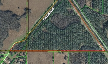 0 tower rd Land O Lakes, FL 34639