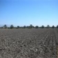 Middleton, Thermal, CA 92274 ID:273519