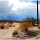 29 Palms Hwy, Twentynine Palms, CA 92277 ID:272948